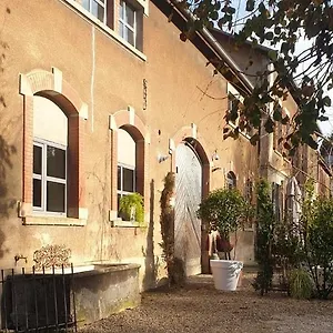 Matin De Saone Fontaines-Saint-Martin